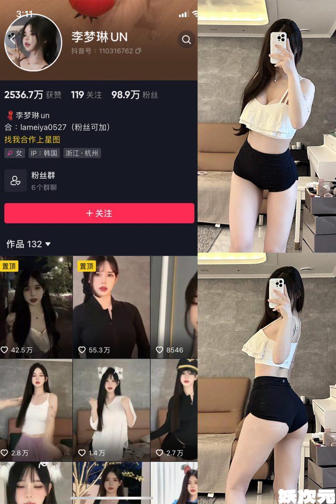 李梦琳 – 最新微密圈资源合集 – 27套 – 2024更新中-妖次元