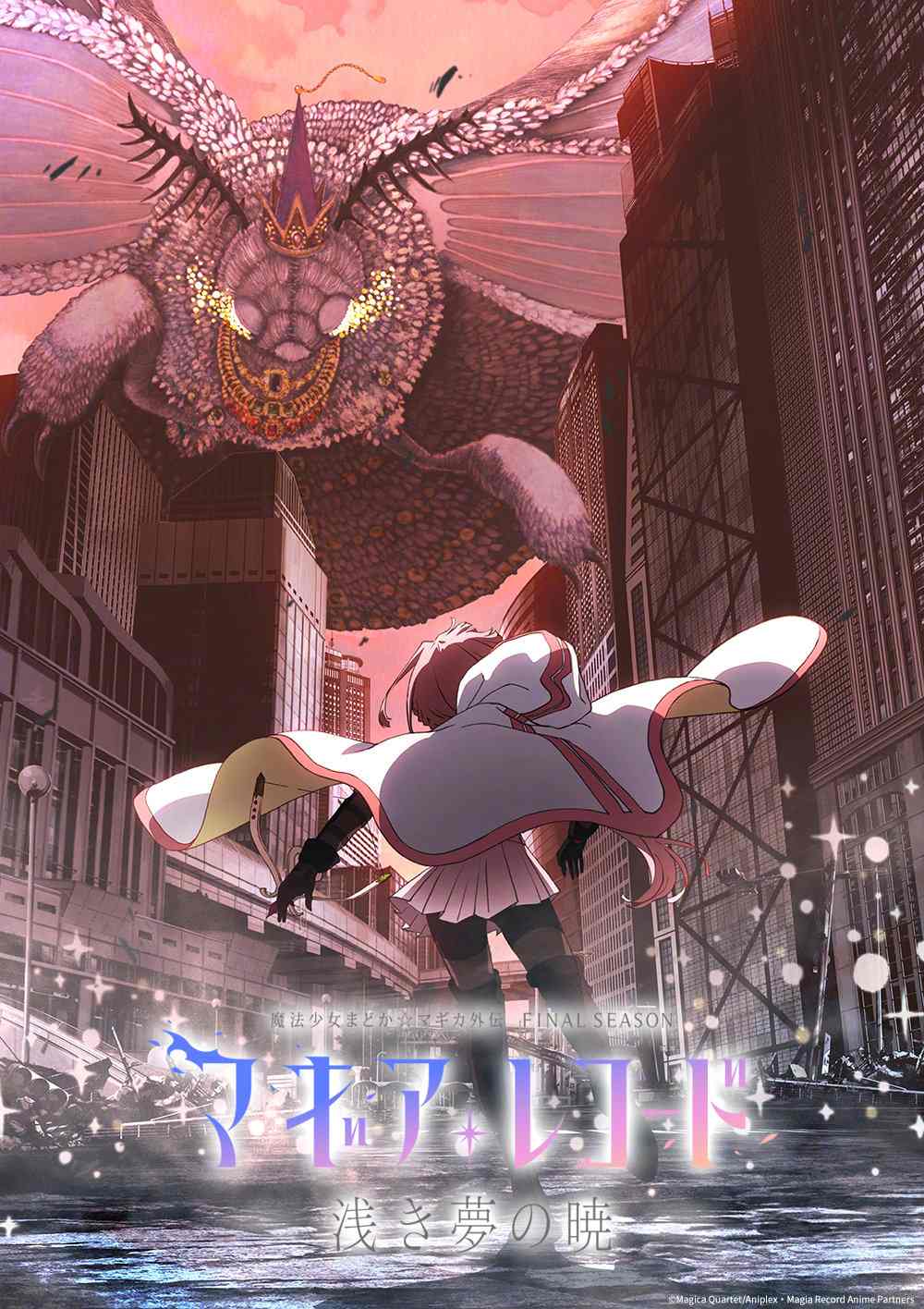 《魔法纪录 魔法少女小圆外传》TV动画最终季-妖次元