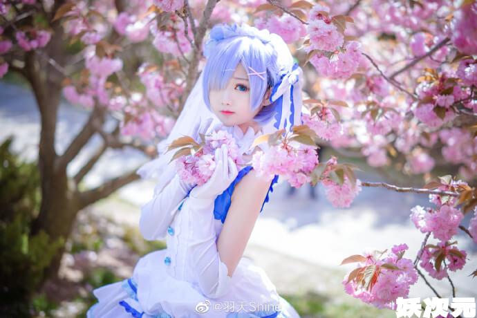 【COS正片】从零开始蕾姆花嫁cos,美萌可爱 cn羽天Shine - 第3张 - 机器猫次元 【COS正片】从零开始蕾姆花嫁cos,美萌可爱 cn羽天Shine - 第3张 - 机器猫次元