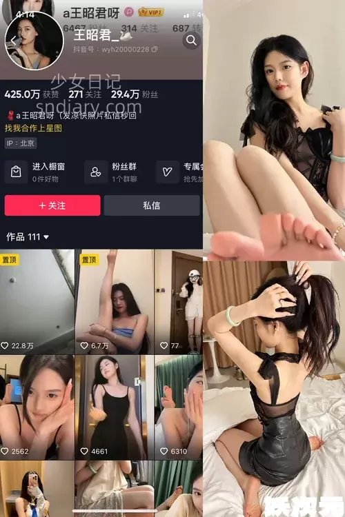 王昭君 – 最新微密圈资源合集 – 25套 – 2024更新中-妖次元